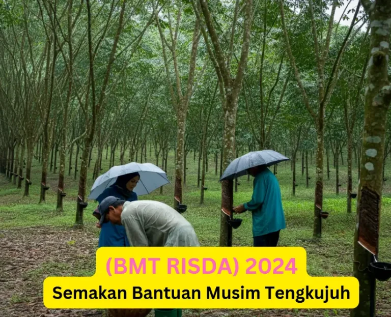 Semakan Bantuan Musim Tengkujuh (BMT RISDA) 2024